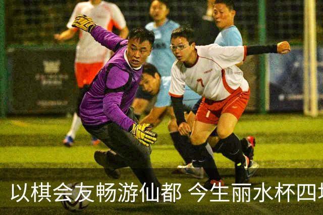 以棋会友畅游仙都 今生丽水杯四地围棋交流活动圆满落幕