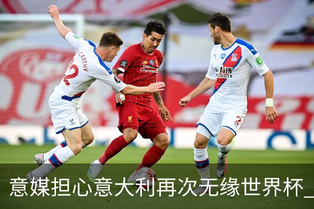 意媒担心意大利再次无缘世界杯 名帅批球队飘了